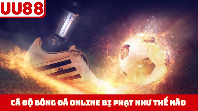 Cá Độ Bóng Đá Online Bị Phạt Như Thế Nào
